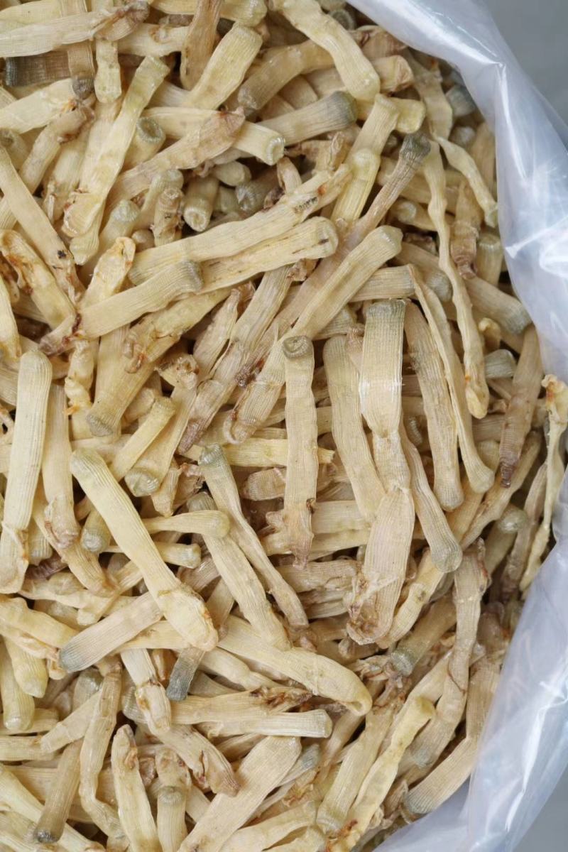 广州人北海沙虫干中号800头干度好肉厚口感佳香味浓