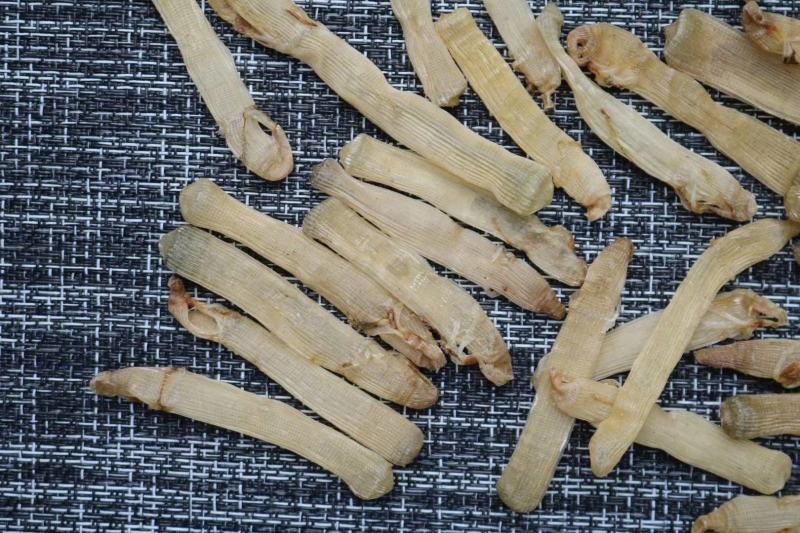 广州人北海沙虫干中号800头干度好肉厚口感佳香味浓