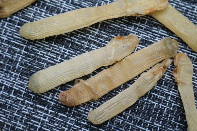 广州人北海沙虫干中号800头干度好肉厚口感佳香味浓