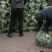 青萝卜已经陆续上市欢迎新老客户洽谈咨询为客户提供优质服务