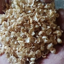 厂家批发黄豆壳饲料多种规格无土无沙无杂质质量保证