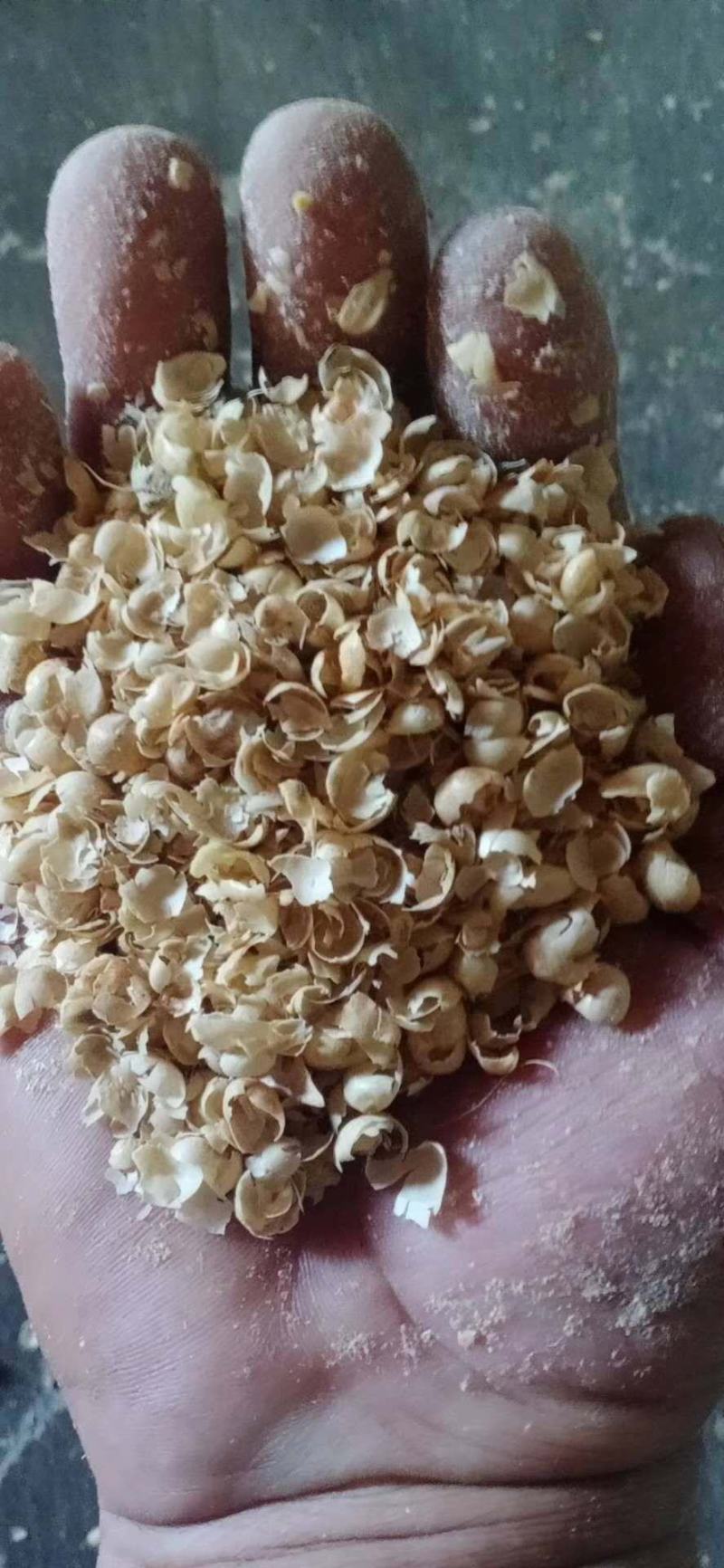 常年碎黄豆壳质量保证鸡鸭鹅猪牛羊养殖饲料