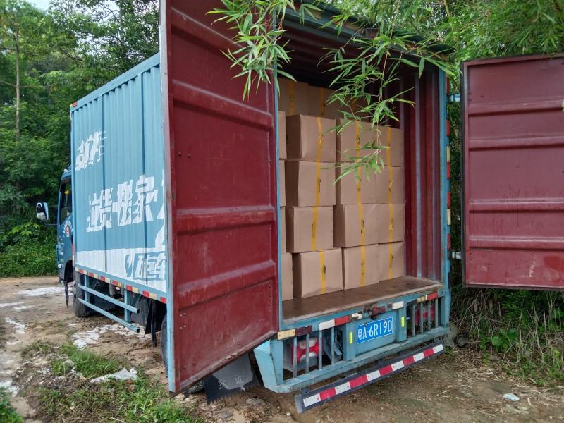 杂交黄骨鱼苗黄颡鱼苗黄辣丁提供技术包邮全国发货
