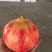 精品突尼斯一二三级果
