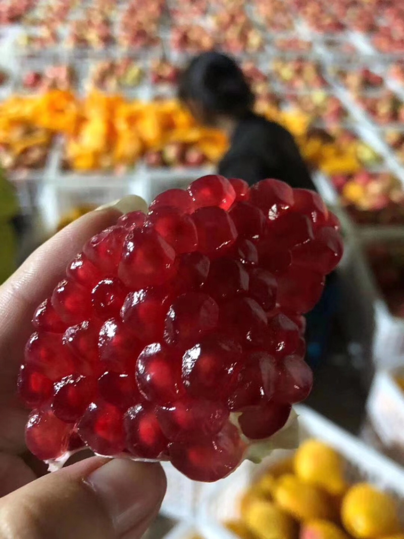 精品突尼斯一二三级果