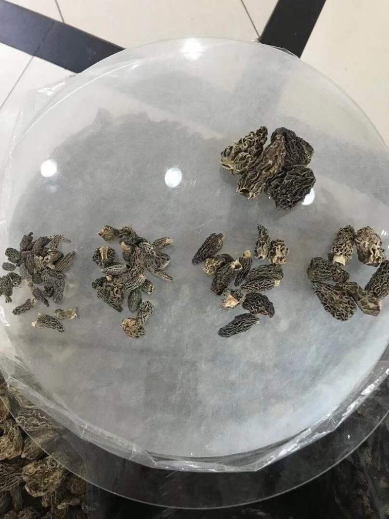 量大现货野生羊肚菌干货味道香肉质厚滋补炖汤煲粥老人小孩好