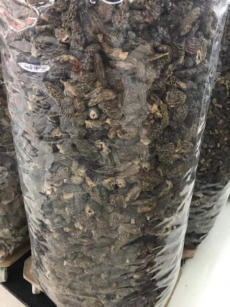 量大现货野生羊肚菌干货味道香肉质厚滋补炖汤煲粥老人小孩好