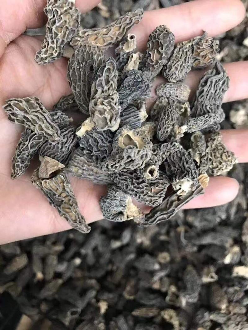 量大现货野生羊肚菌干货味道香肉质厚滋补炖汤煲粥老人小孩好
