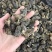 量大现货野生羊肚菌干货味道香肉质厚滋补炖汤煲粥老人小孩好