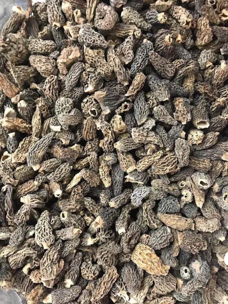 量大现货野生羊肚菌干货味道香肉质厚滋补炖汤煲粥老人小孩好