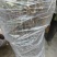 维纳斯黄金苹果苗基地直销现挖现发保证品种保湿邮寄提供技术