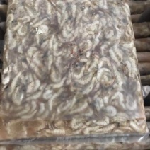 印度小河虾，炒河虾专用