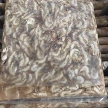 印度小河虾，炒河虾专用