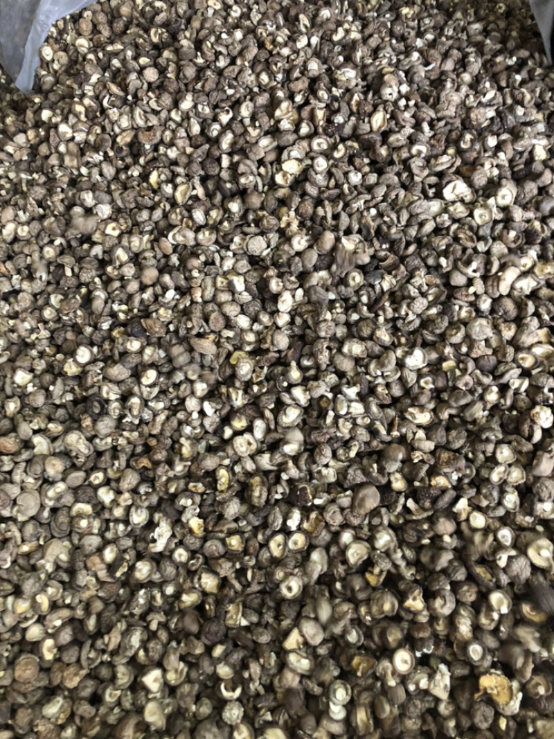 河南西峡香菇干货500g蘑菇冬菇干花菇大量现货一手货源