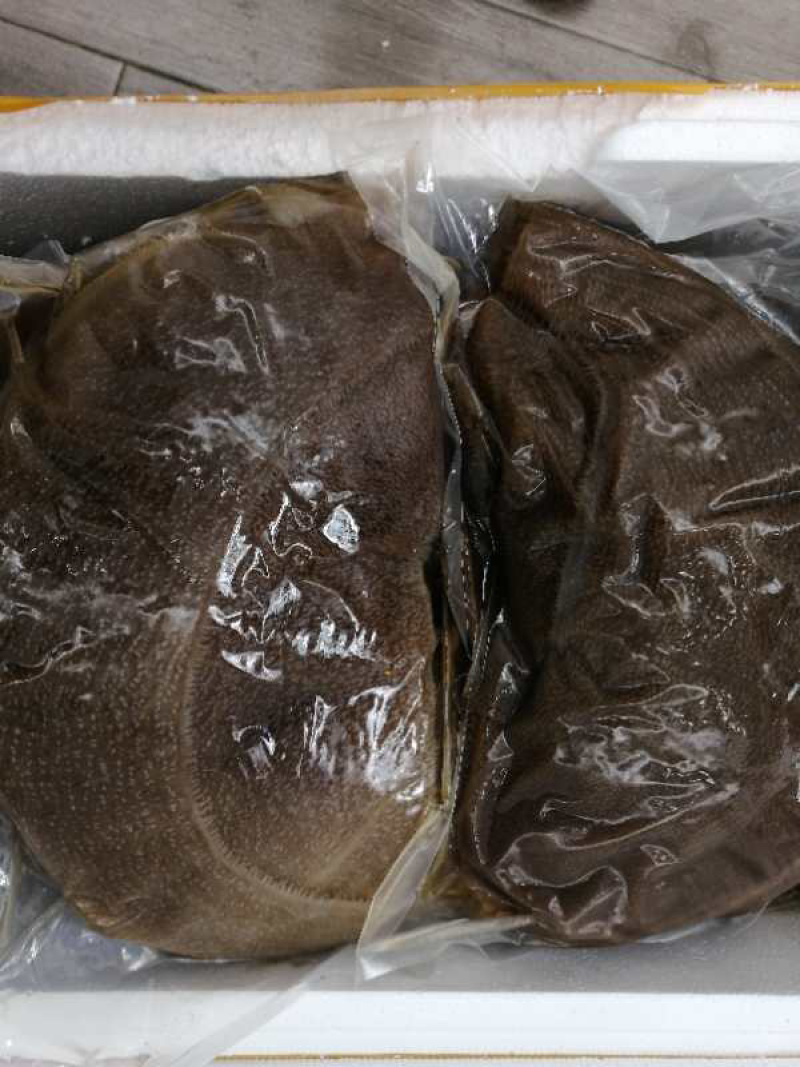 【餐厅火锅食材推荐】牛毛肚纯黄牛大叶片切丝专用