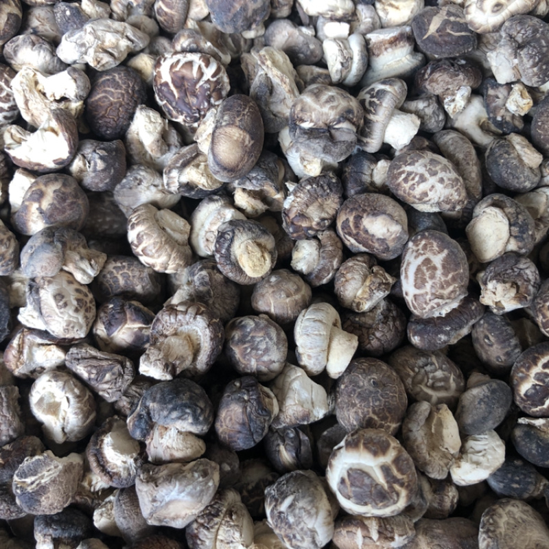 迷你小花菇1.3公分超小珍珠香菇干货剪脚小冬菇蘑菇一斤