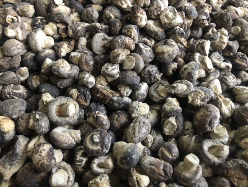 迷你小花菇1.3公分超小珍珠香菇干货剪脚小冬菇蘑菇一斤