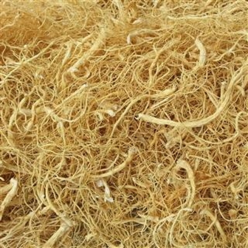 【自家种植，保质保量】长白山6年人参须，价格实惠，包邮