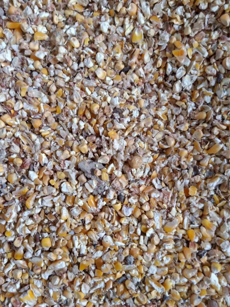 常年供应碎玉米碎小麦下脚料豆泊小料适合各种鸡鸭牛羊鹅喂养