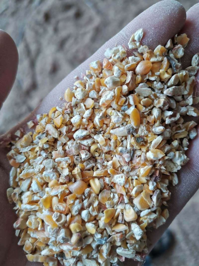 常年供应碎玉米碎小麦下脚料豆泊小料适合各种鸡鸭牛羊鹅喂养