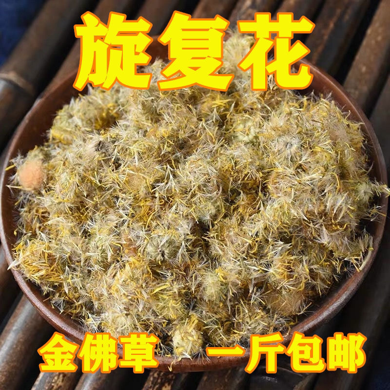 旋复花野生旋覆花金钱菊产地直销量大从优