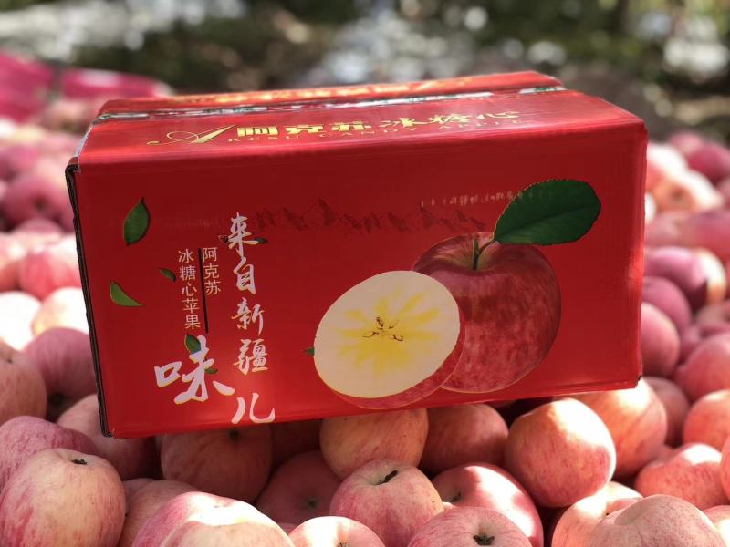 冰糖心苹果，产地新疆阿克苏红旗坡，一件代发