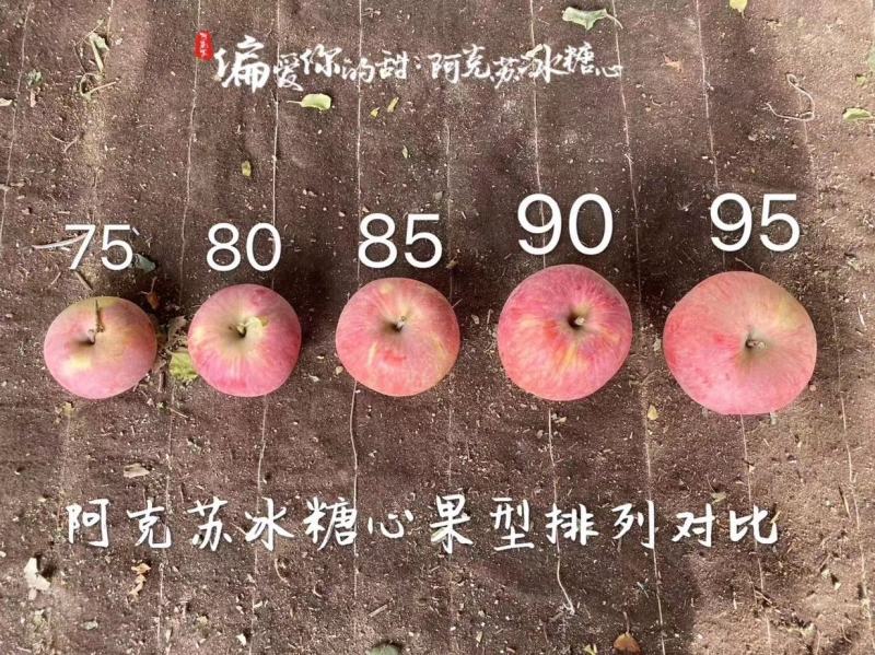 冰糖心苹果，产地新疆阿克苏红旗坡，一件代发