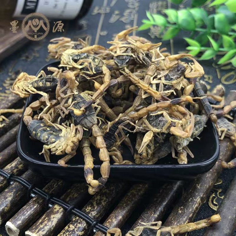 全蝎蝎子量大从优清水货产地直销无盐