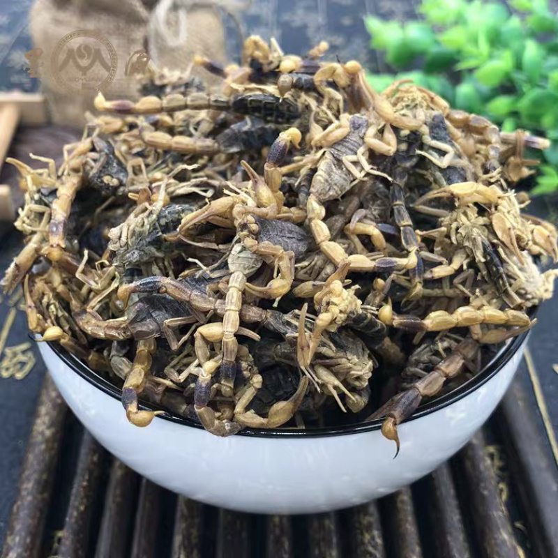 全蝎蝎子量大从优清水货产地直销无盐