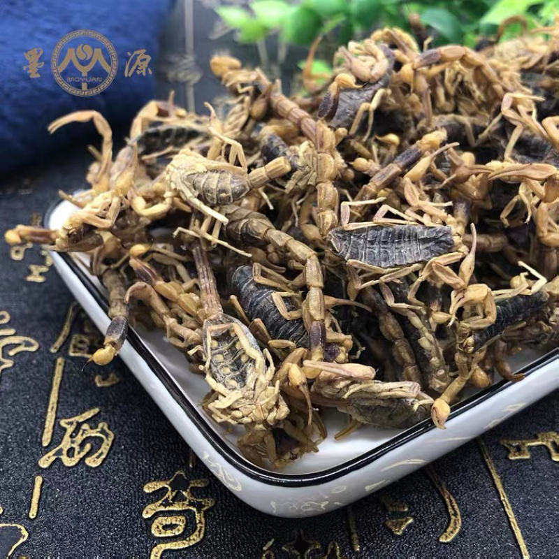 全蝎蝎子量大从优清水货产地直销无盐