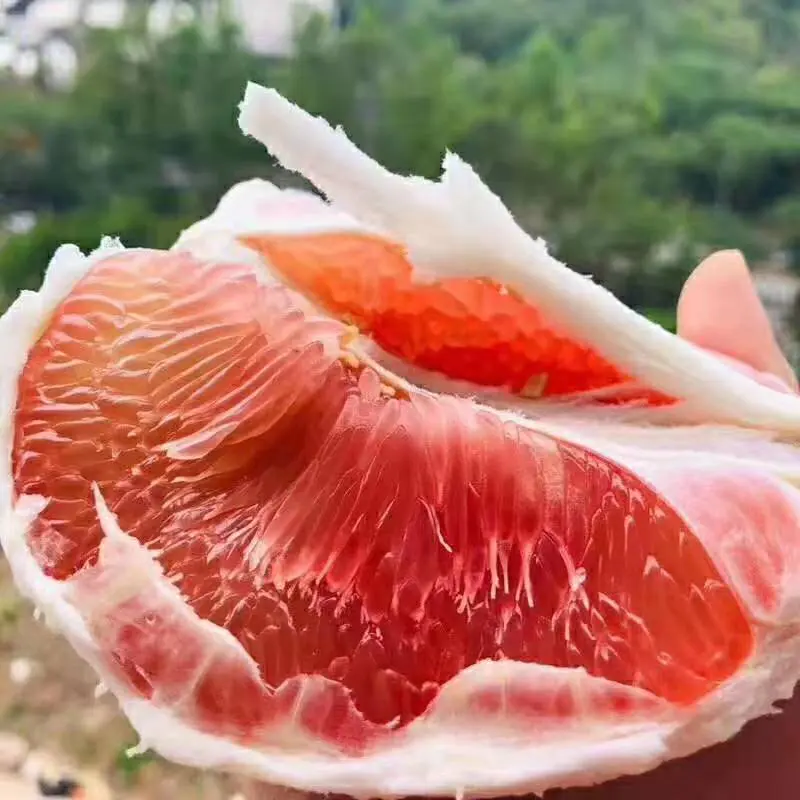 三红蜜柚红心柚白心柚皮薄口感好水分足甜