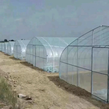 插地冷棚，客户订做，详细配置请致电，共7个尺寸