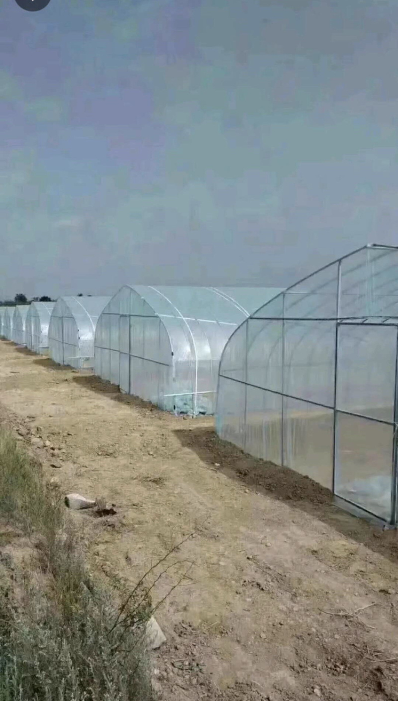 插地冷棚，客户订做，详细配置请致电，共7个尺寸