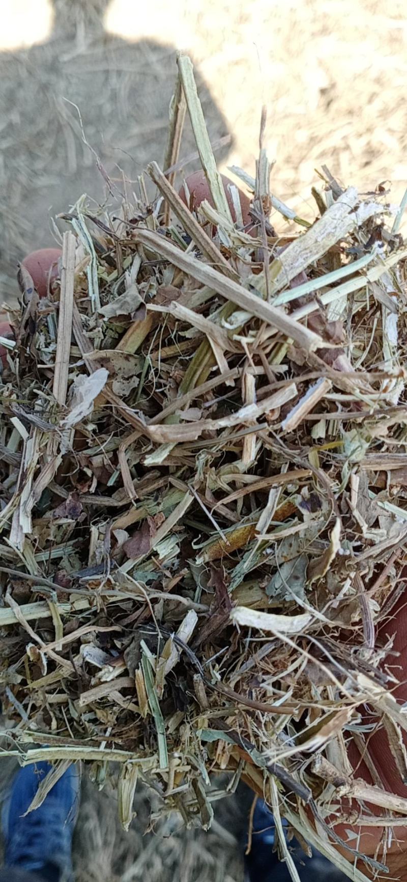 河南麦茬新花生秧无土无膜无霉变质量有保障