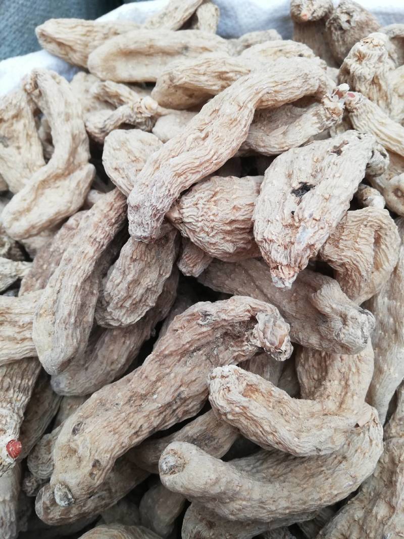 正宗天麻云南昭通天麻小草坝天麻无硫切片天麻片干货