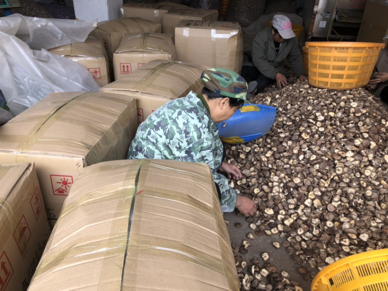 2025年香菇干货干香菇产地批发无杂原产地直营店包邮