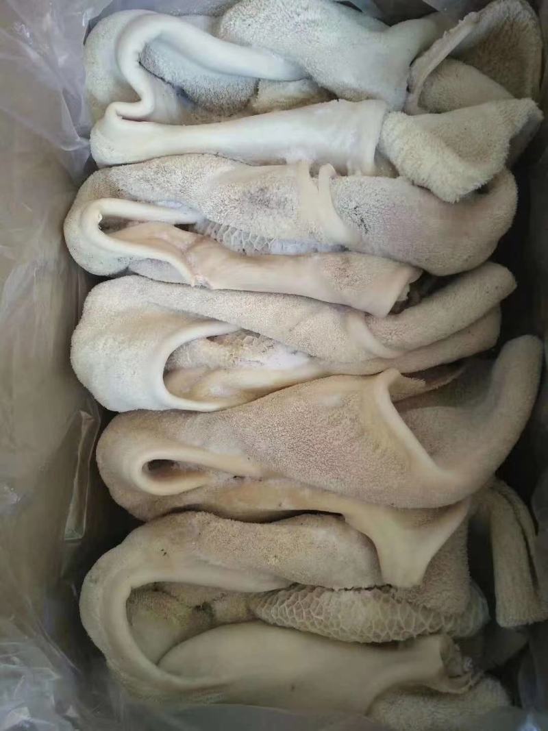 新清真新鲜金钱肚蜂窝肚半成品牛肚一件50斤