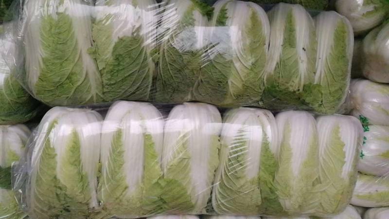 湖北钟祥万亩白菜基地大量供应商超档口各大市场