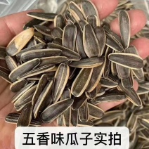 瓜子口味齐全量大从优成都库房现货