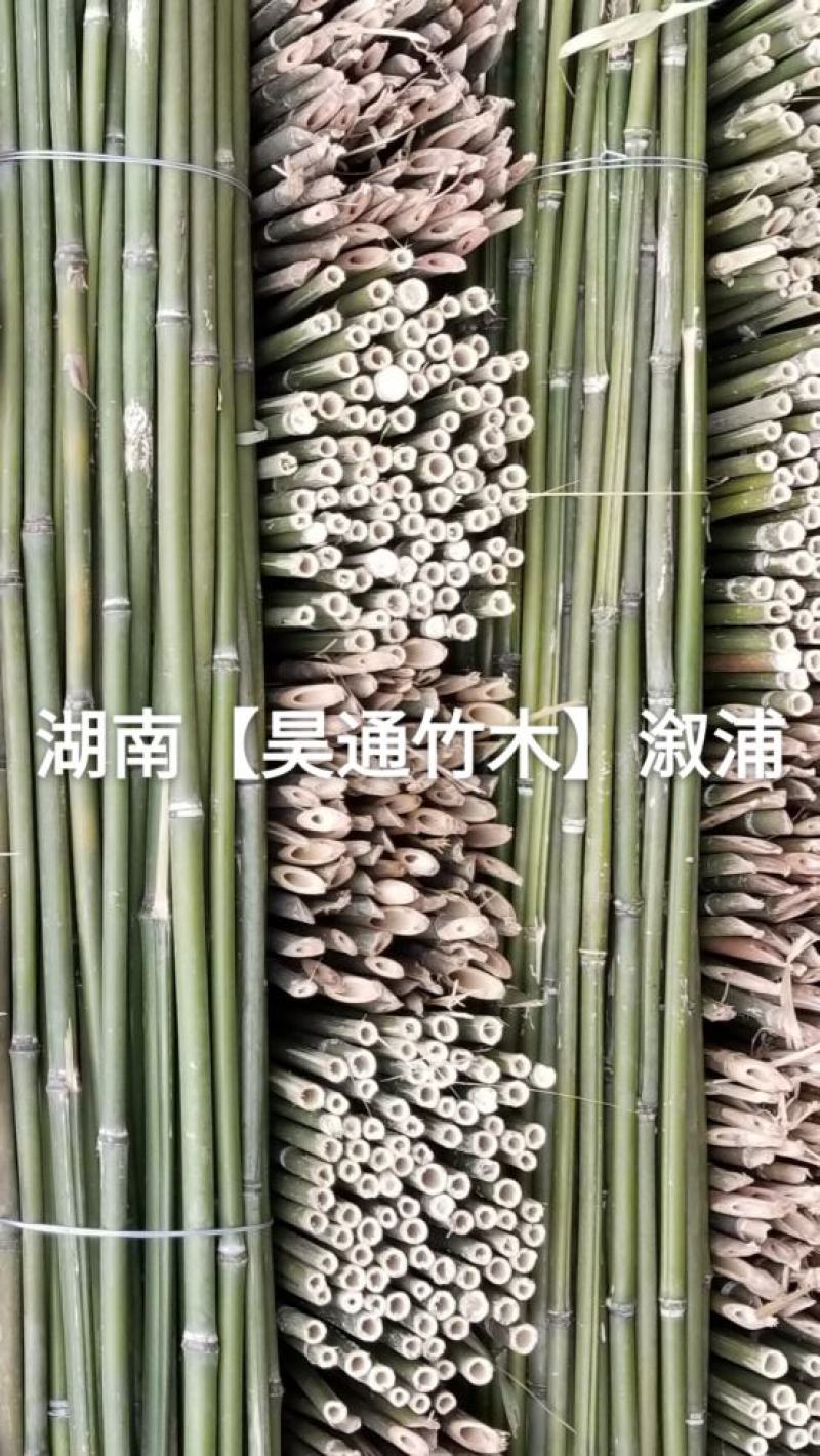 湘西雪峰山菜架竹、竹竿、竹架条、白竹、水竹