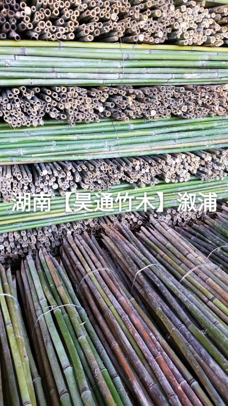湘西雪峰山菜架竹、小竹竿、竹架条、金竹、铁竹