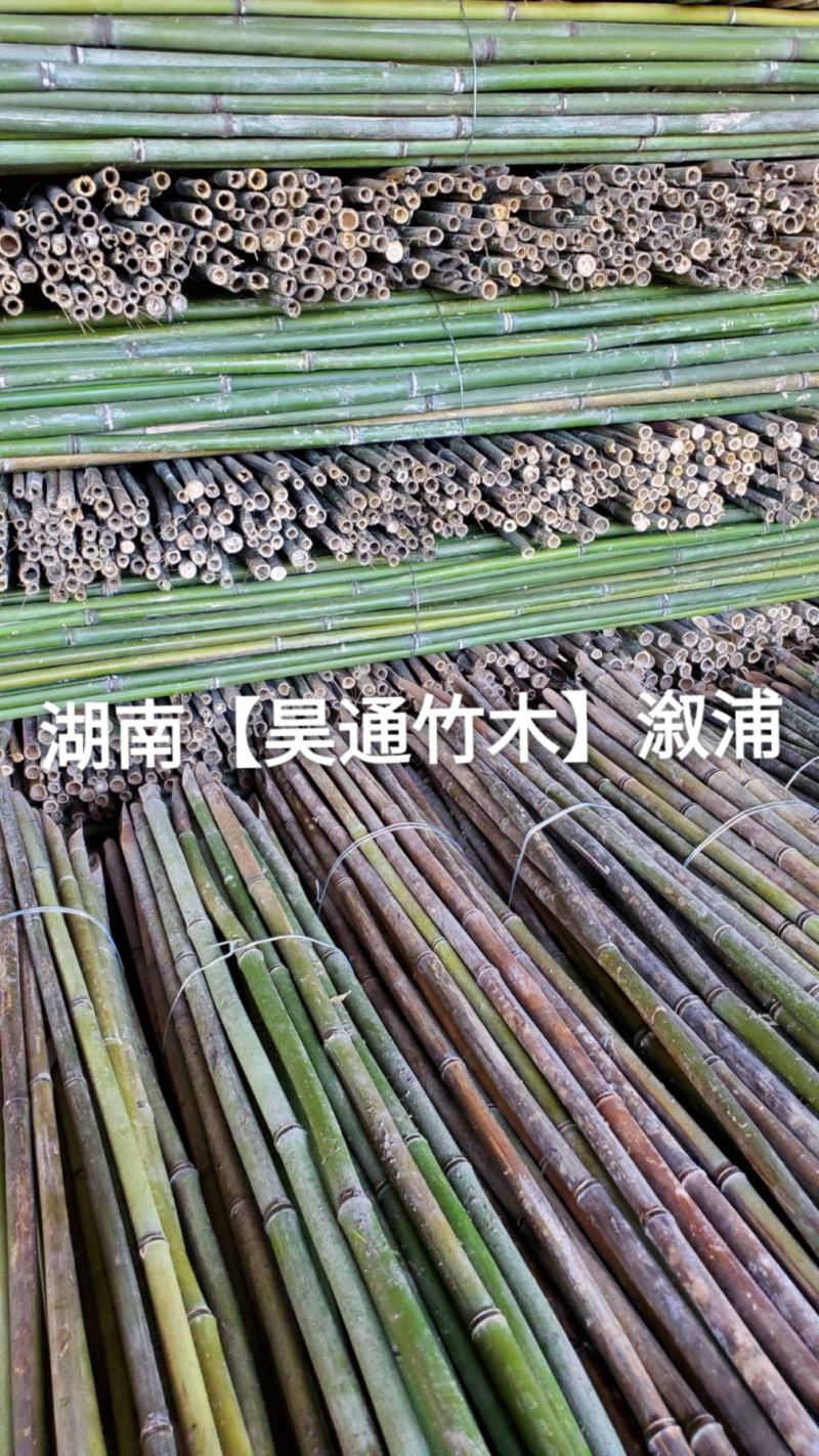 湘西雪峰山菜架竹、小竹竿、竹架条、金竹、铁竹