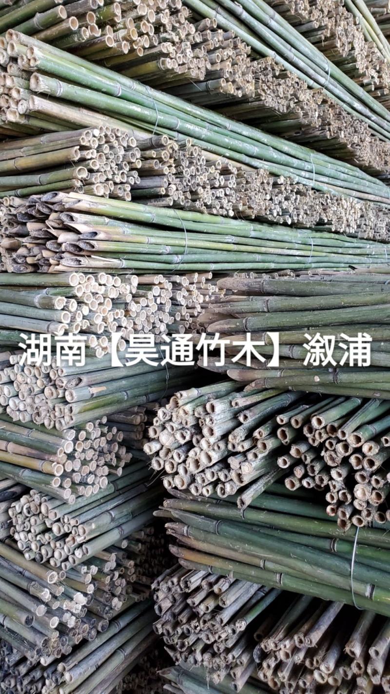 湘西雪峰山菜架竹、小竹竿、竹架条、金竹、铁竹