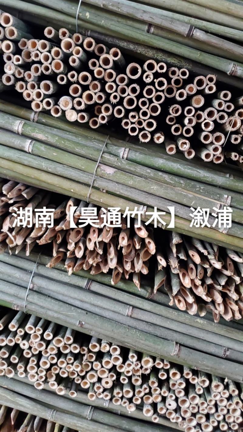 湘西雪峰山菜架竹、小竹竿、竹架条、金竹、铁竹