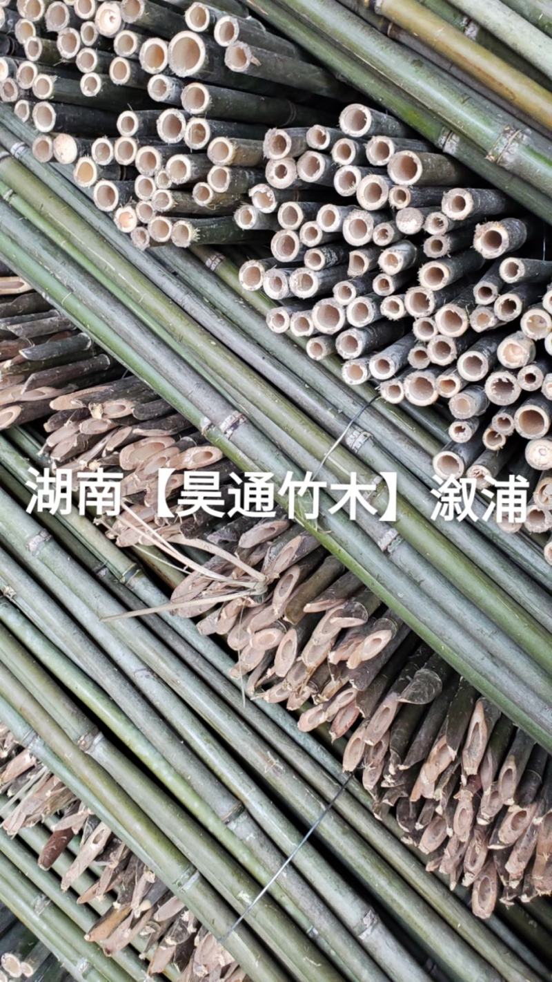 湘西雪峰山菜架竹、小竹竿、竹架条、金竹、铁竹