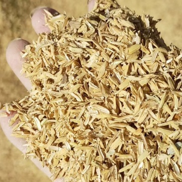 大量出售压缩稻壳。有需要的联系我。