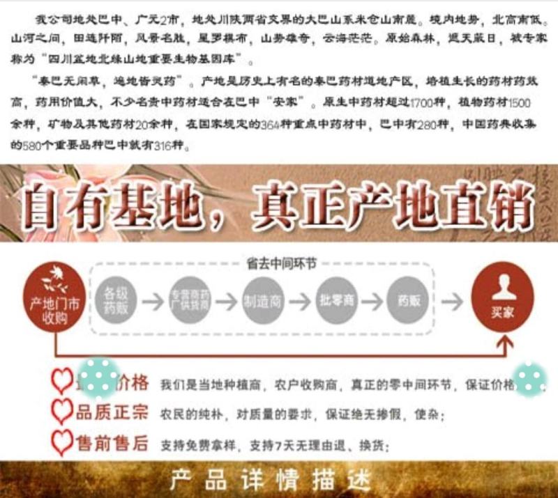 【量小冲量】多年生川白芍无硫机器统片，道地产区药性十足