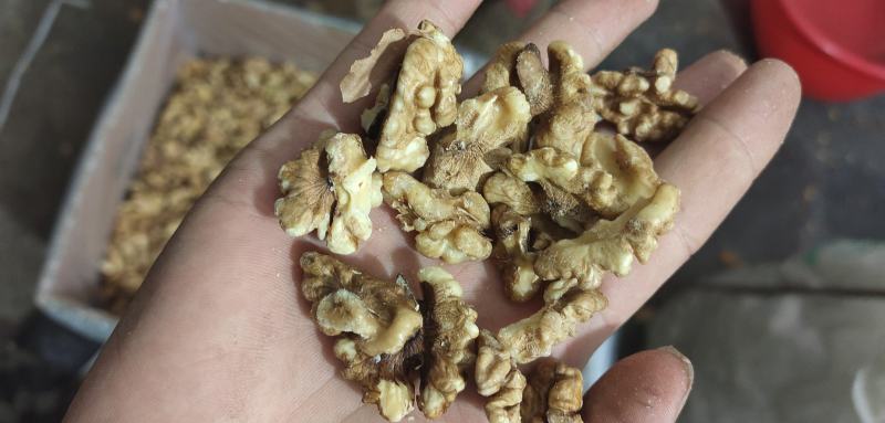 奶油味核桃肉，新疆185，熟仁，价格实惠