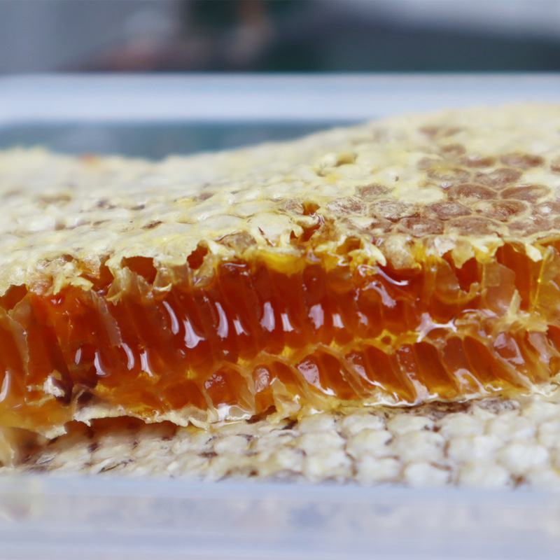 源生态绿色食品，美味可口的土蜂蜜