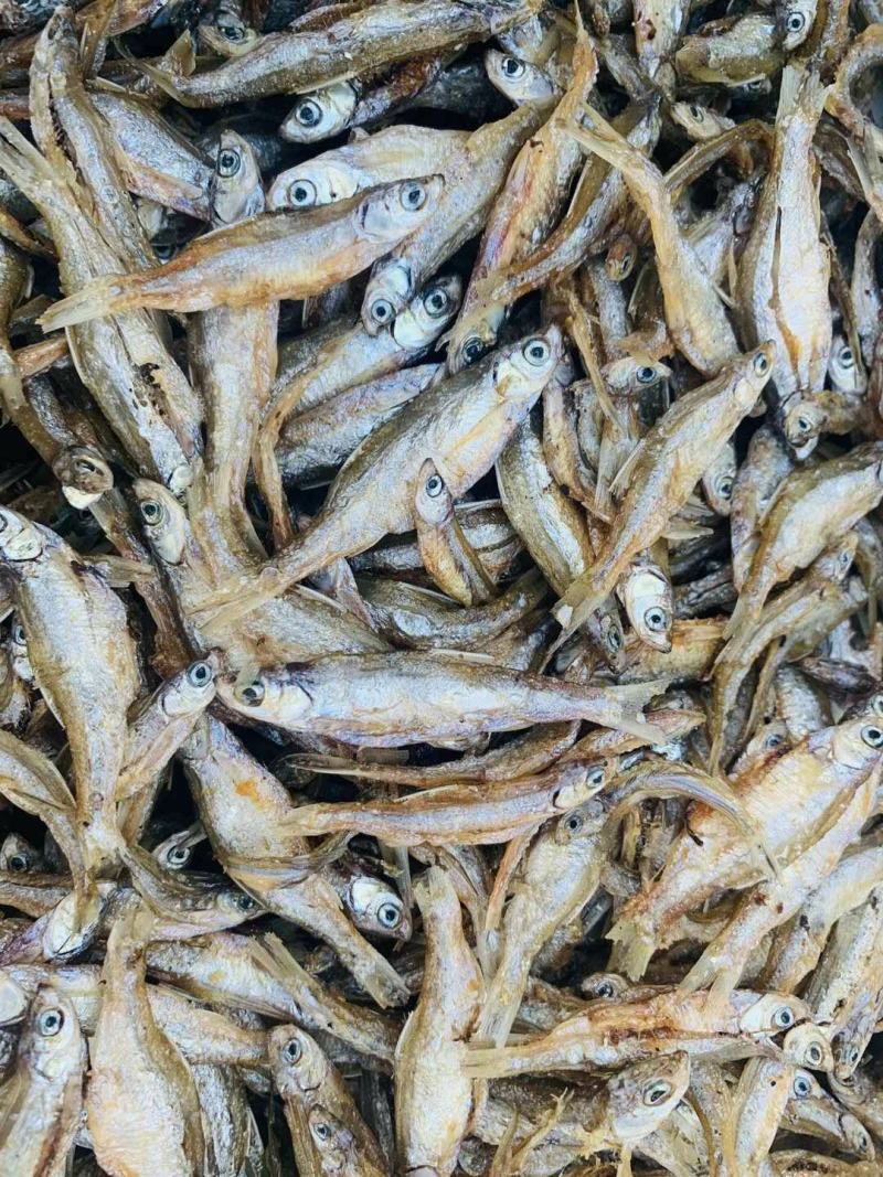 油炸蓝刀鱼白肖鱼各种鱼干